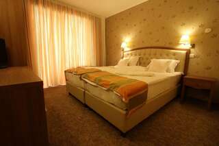 Отель Hotel Crisalpin Пояна-Брашов Двухместный номер с 1 кроватью или 2 отдельными кроватями-8