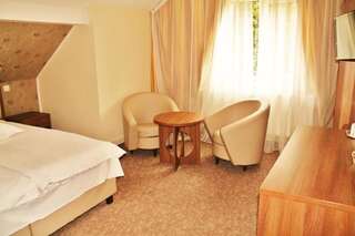 Отель Hotel Crisalpin Пояна-Брашов Двухместный номер с 1 кроватью или 2 отдельными кроватями-13